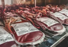 Hemoba lança campanha para incentivar doação regular de sangue e manter estoques em níveis seguros na Bahia