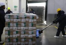 SUS passa a oferecer medicamento inédito para tratamento de câncer de mama HER2-positivo